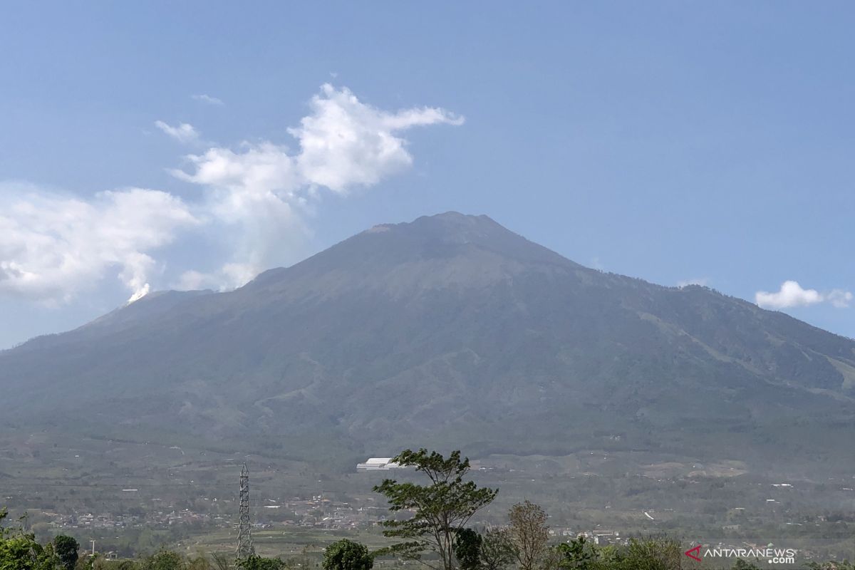 Tim pemadam berusaha padamkan api di Gunung Arjuno