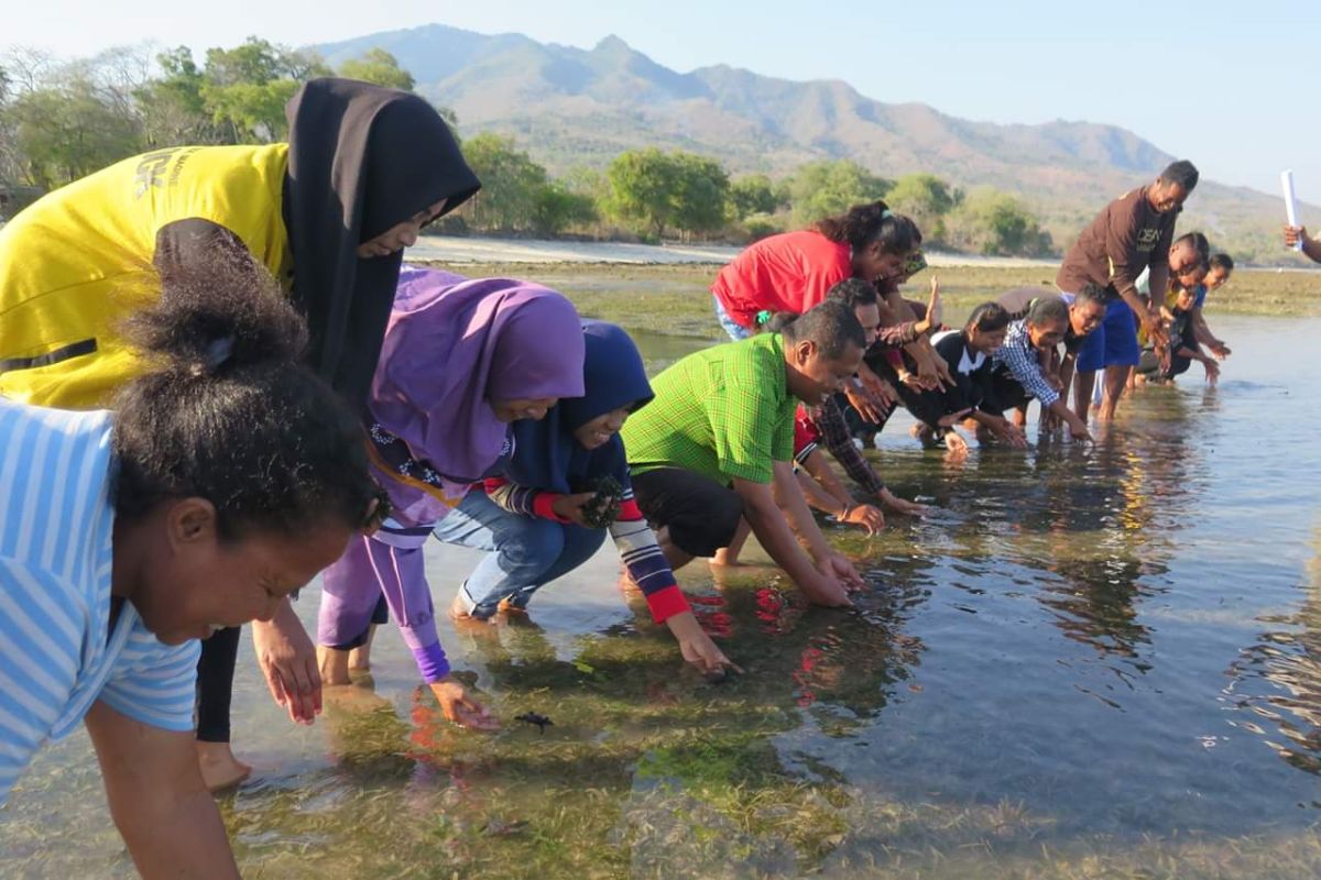 Bantuan kapal untuk nelayan di Lamakera