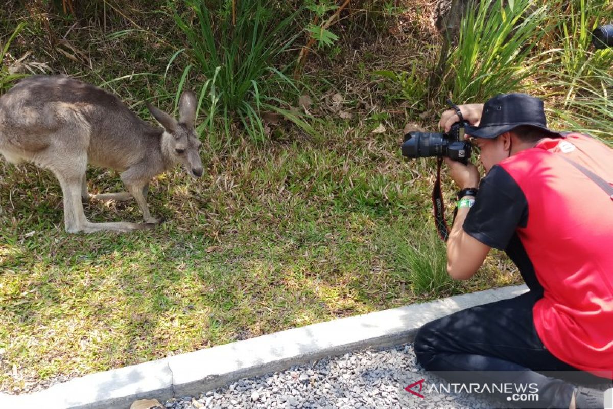 TSI Prigen pastikan kondisi satwa masih aman meski kebakaran hutan