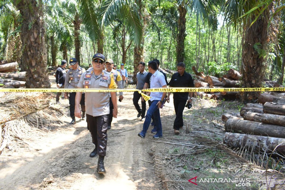 S Kalimantan Forestry closes all routes of illegal logging