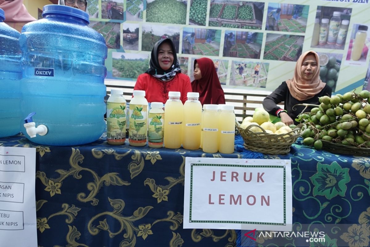 Mengombinasikan lemon dan teh bunga telang di lahan gambut Siak