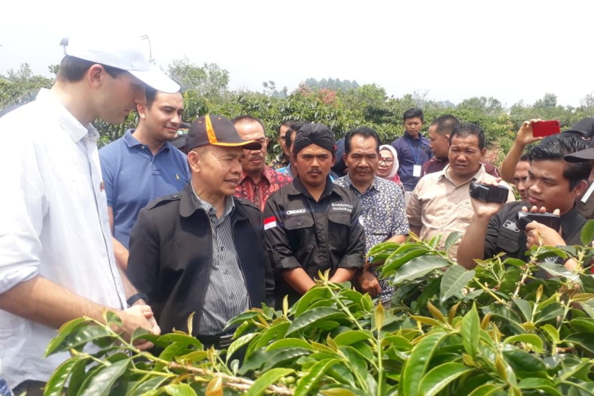 Koperasi Petani Barokah Kerinci ekspor perdana 15,6 ton kopi ke Belgia