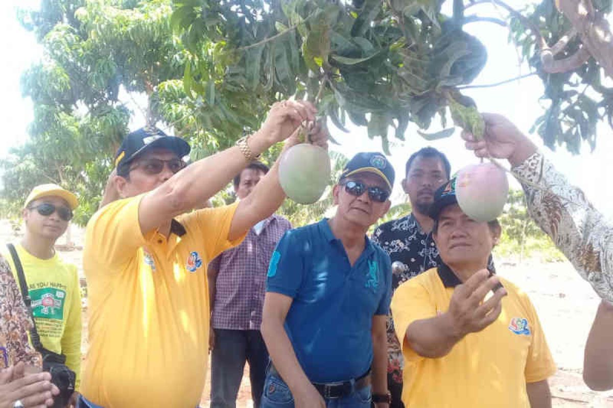 Diharapkan jadi favorit, Agro Wisata Situ Bolang Indramayu diresmikan