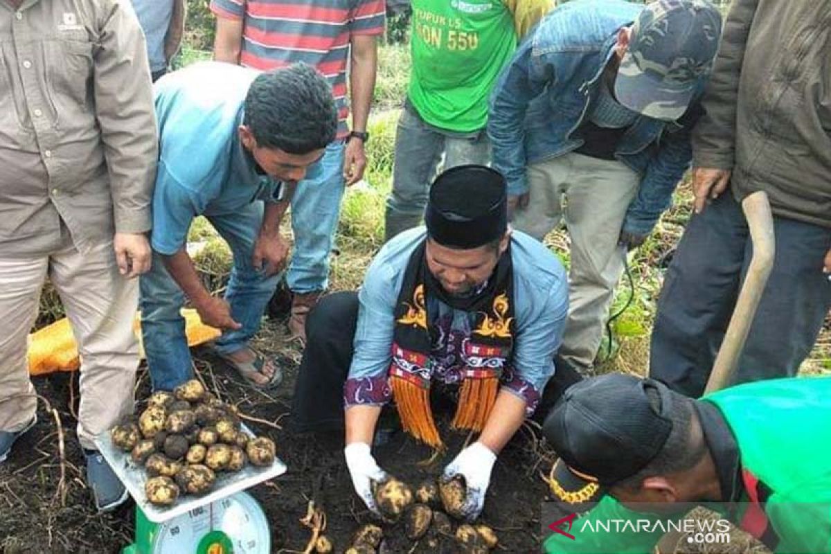 Bupati janji bangun penangkaran bibit kentang di Bener Meriah