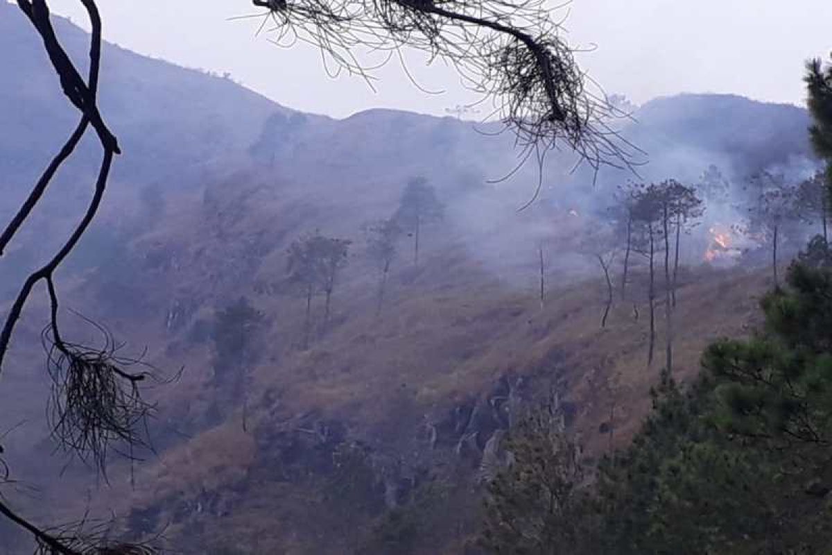 Blaze tears through forest on Mount Andong in Magelang
