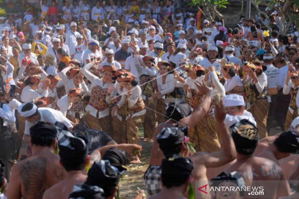 Tradisi Perang Ketupat, diikuti warga Desa Adat Kapal Badung