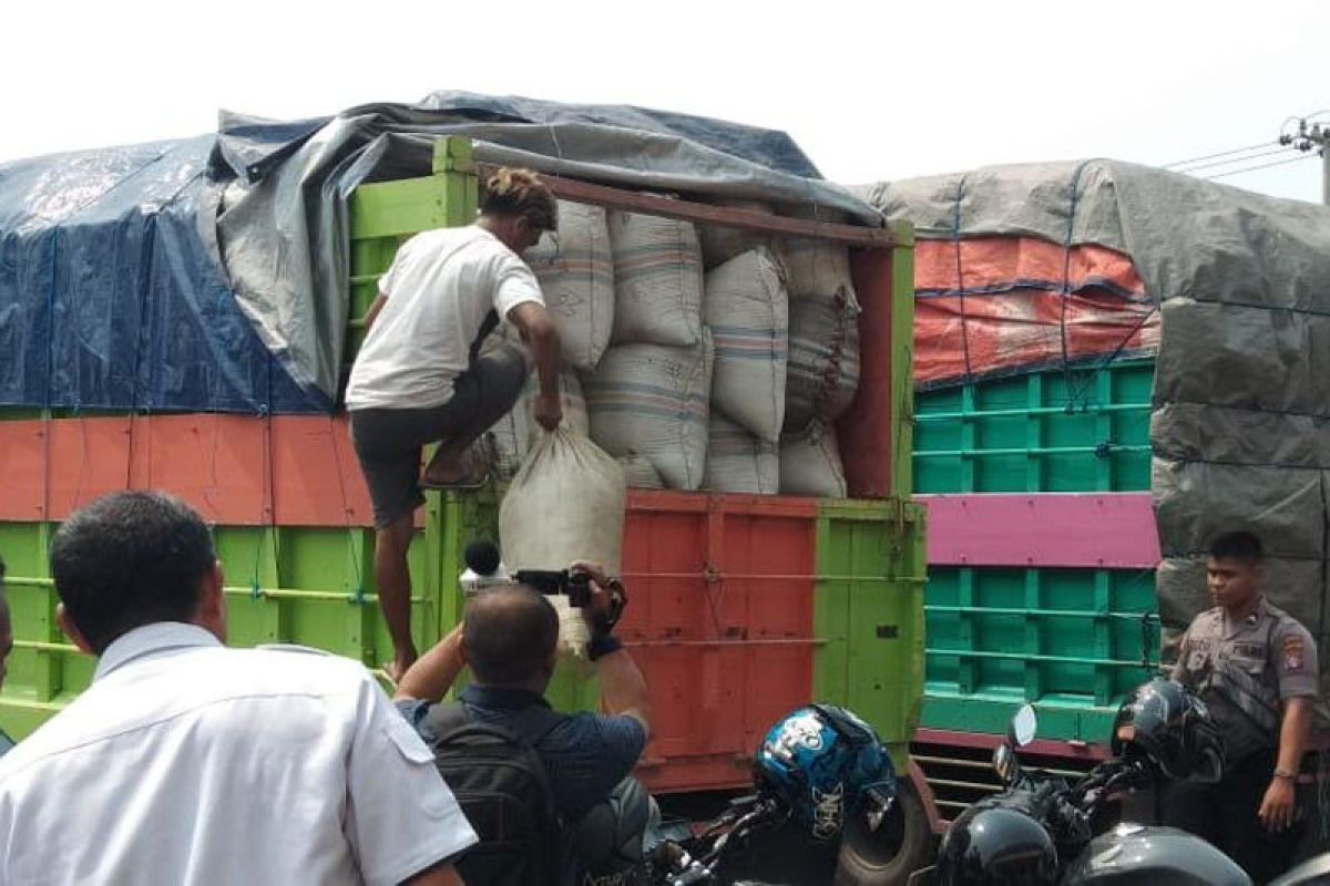 Pengusaha daun kratom Kalbar perlu solusi agar penjualan lancar