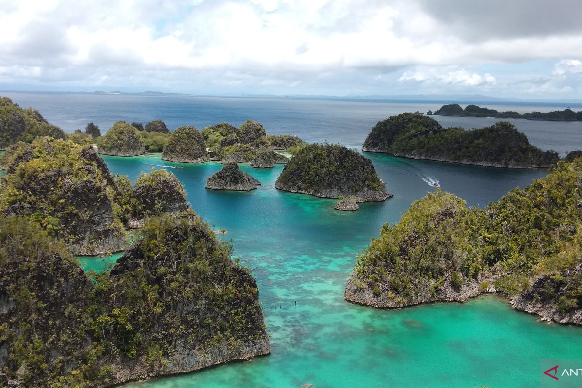 Ratusan wisatawan dipastikan hadiri Festival Bahari Raja Ampat