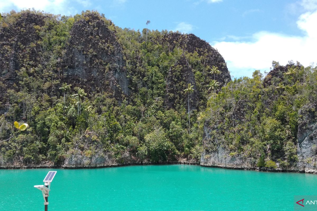 Missing Swiss citizen in Raja Ampat found alive