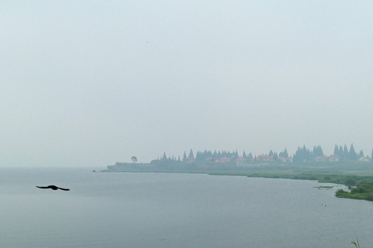 Padang kembali diselimuti kabut asap, jarak pandang tujuh kilometer