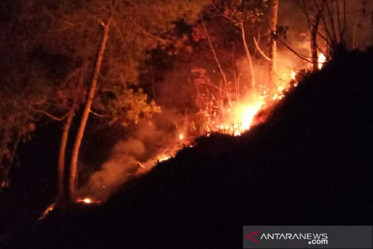 Hutan kawasan Perhutani di Cikuray Garut masih terbakar