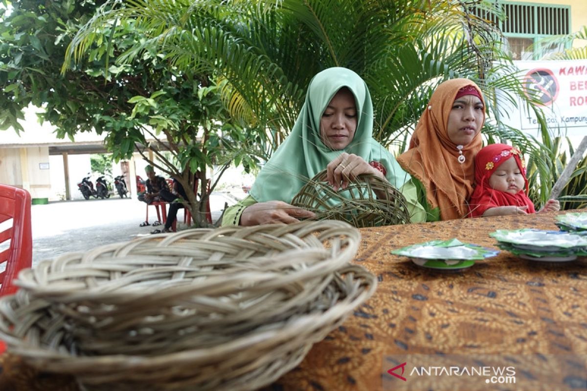 Temusai Kampung Hijau, sumbangsih desa gambut atasi karhutla Siak