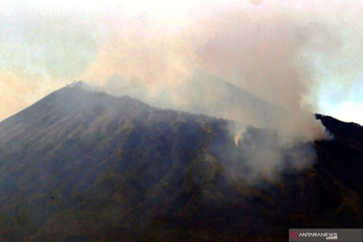 Pemprov Jatim minta bantuan BNPB padamkan kebakaran hutan Gunung Arjuno