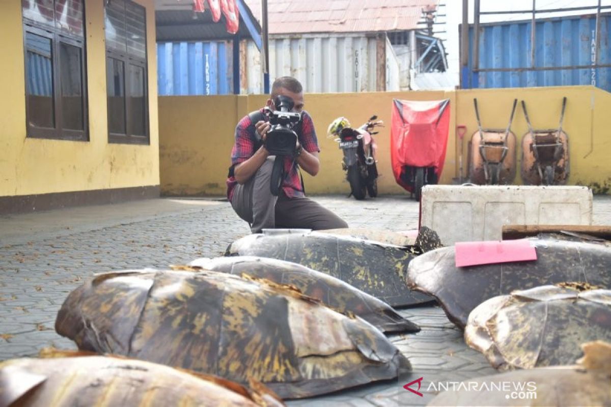 Polairud tangkap 10 nelayan pemburu penyu