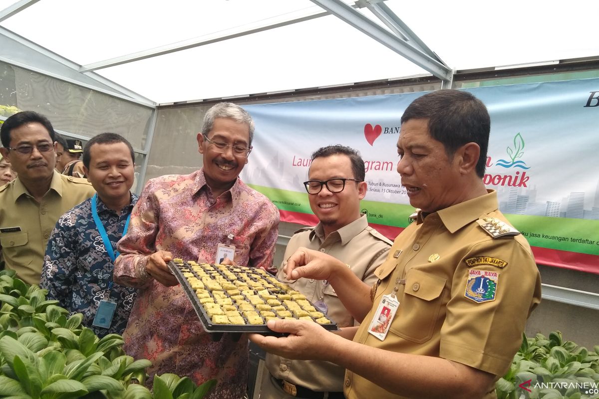 Penghijauan produktif, alasan kebun hidroponik ditempatkan di rusun