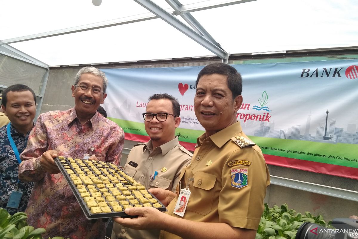 Lahan terbatas rusun KS Tubun diolah jadi kebun hidroponik