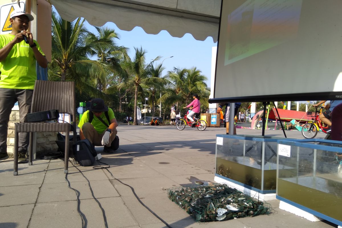 Kerang Hijau Teluk Jakarta tidak layak konsumsi