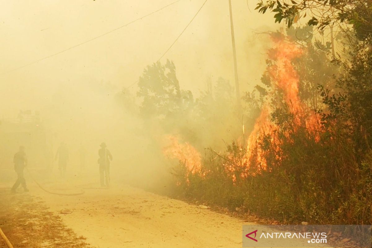 Kebakaran lahan kembali melanda Kotim