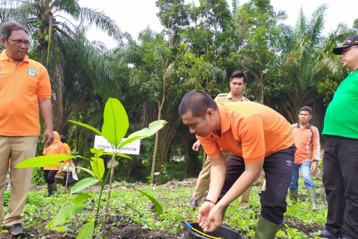 500 bibit pohon ditanam di bantaran Sungai Bah Bolon