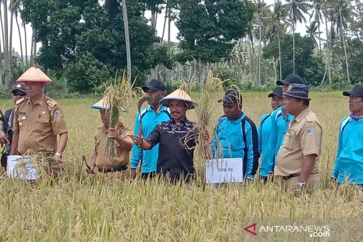 Petani Donggala keluhkan kelangkaan pupuk subsidi