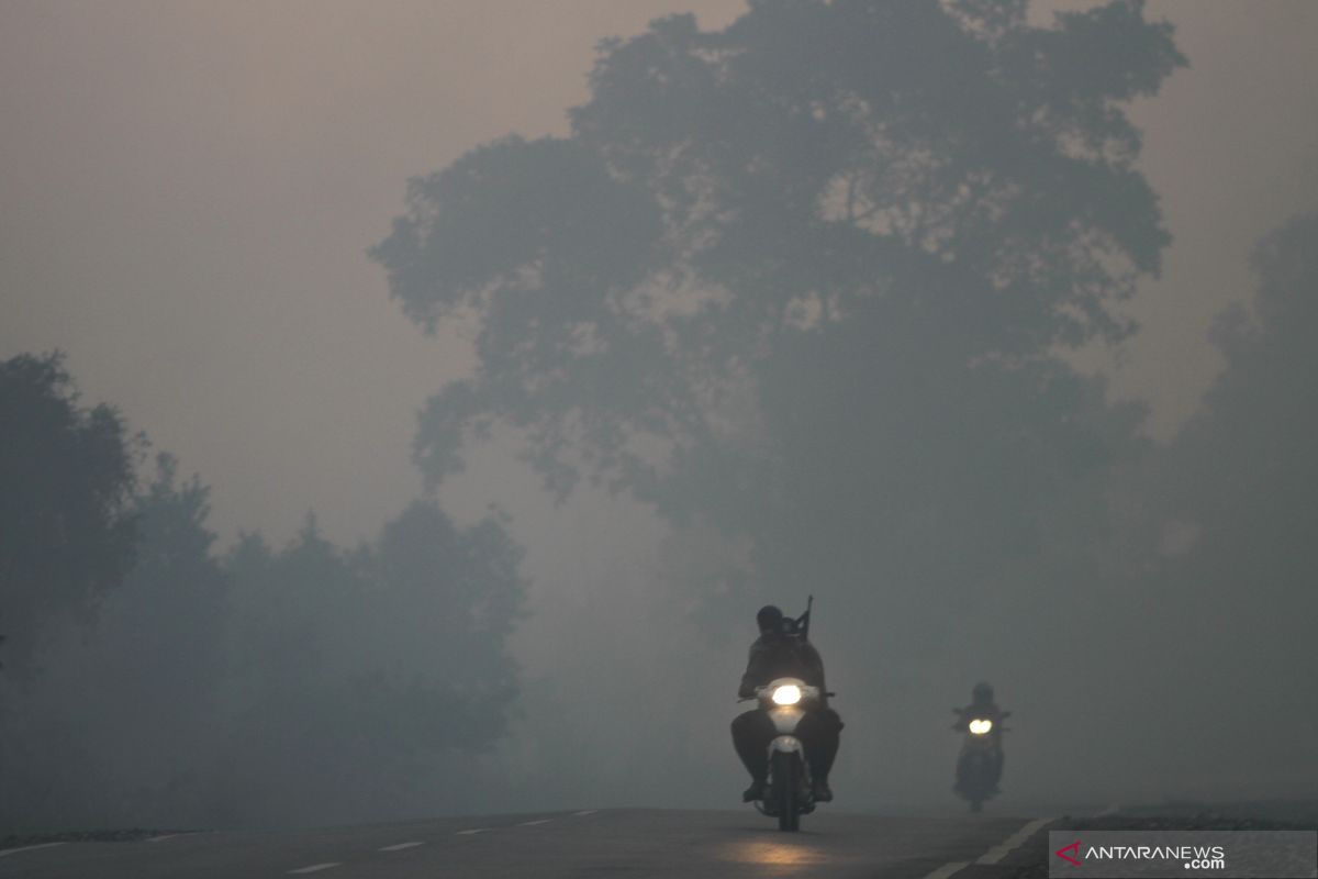 BMKG perkirakan kabut asap karhutla makin menipis dua hari ke depan