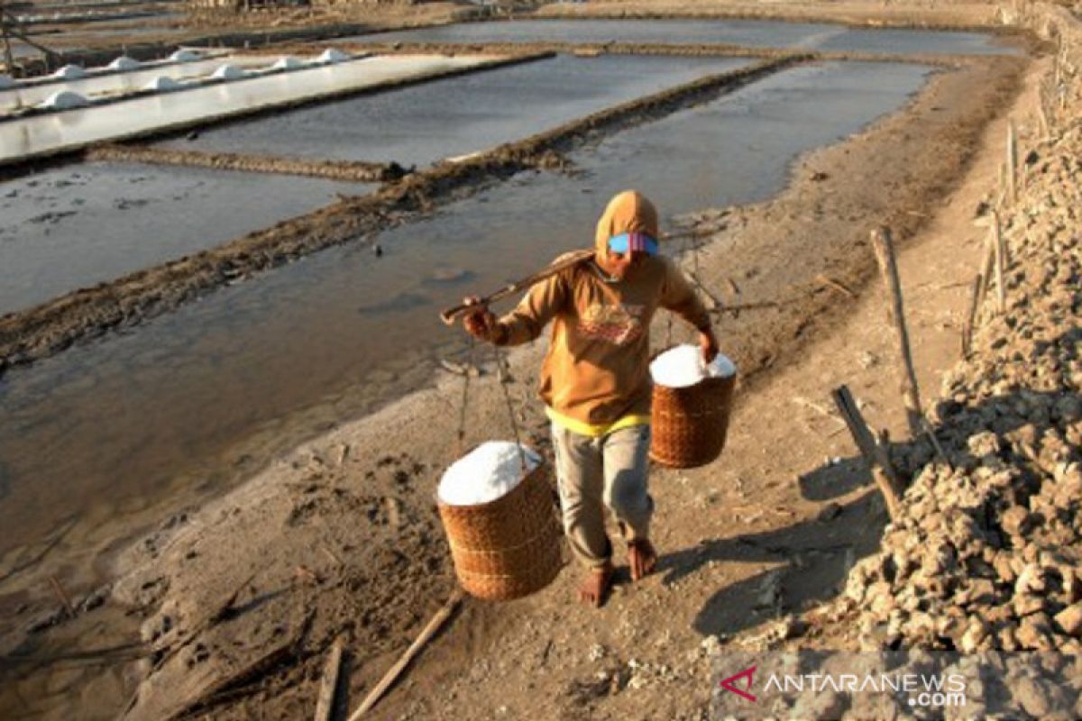 Harga garam turun