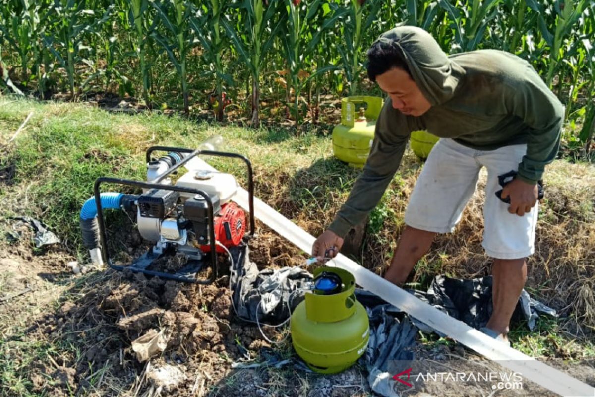 Pertamina sosialisasikan penggunaan elpiji subsidi untuk petani