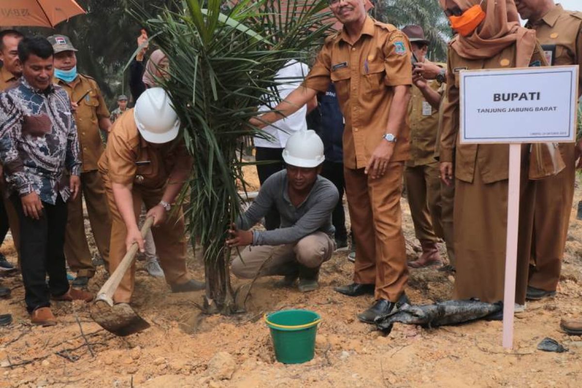 Bupati Safrial ikut penanaman perdana replanting kelapa sawit