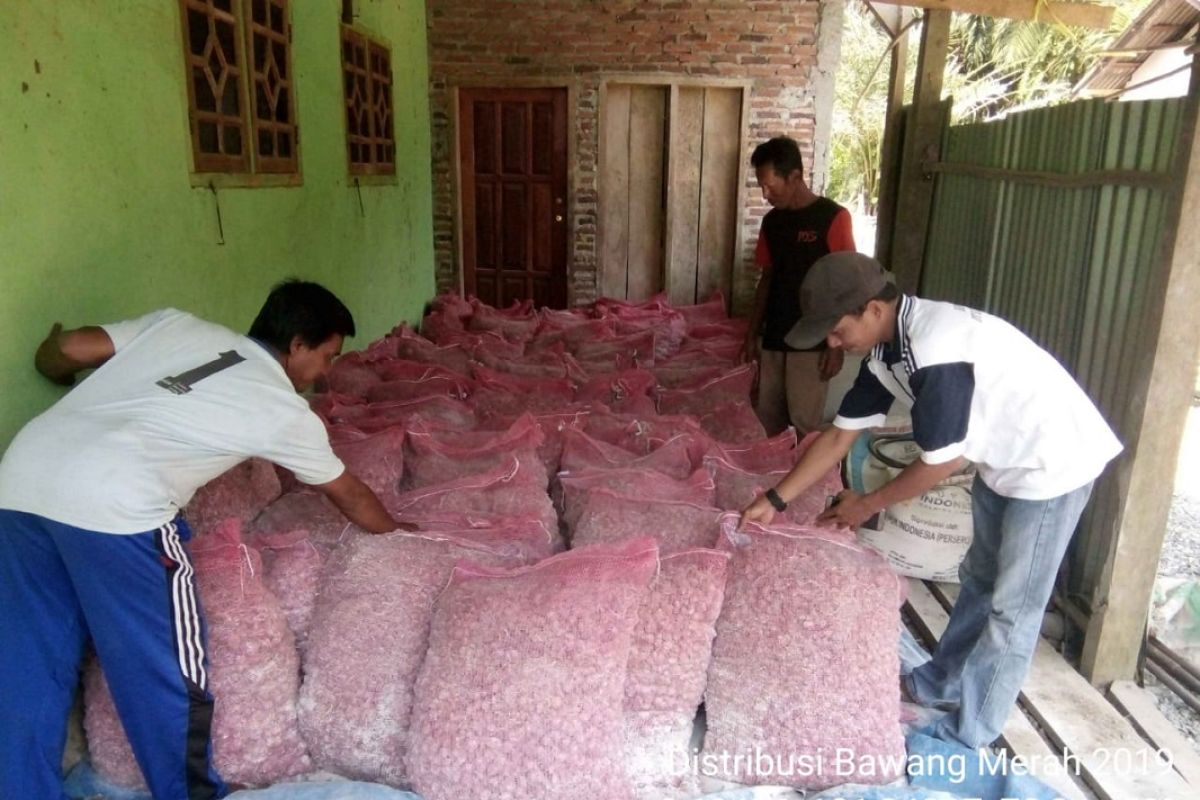 Petani Mukomuko kembali terima benih bawang merah