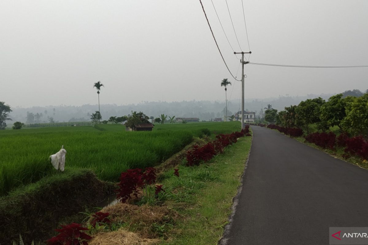 Di Tanah Datar, warga mulai merasakan mata perih akibat kabut asap