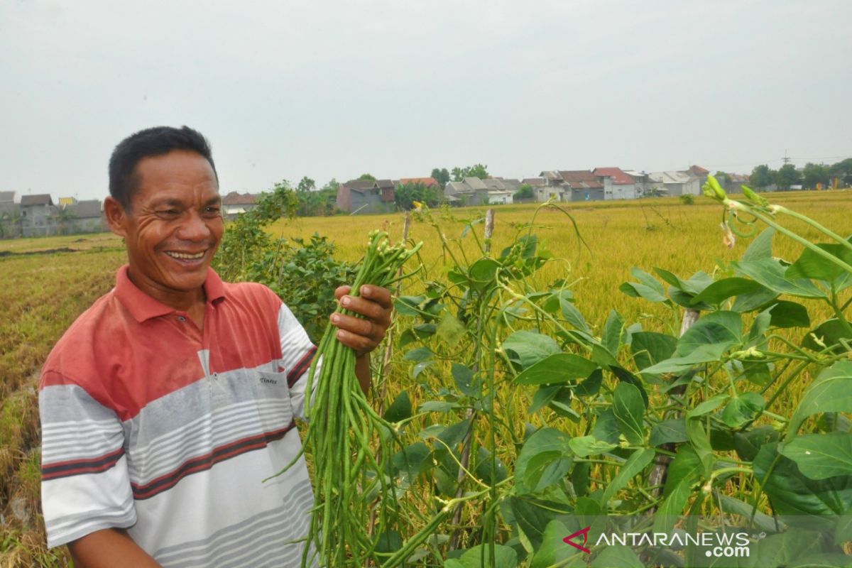 Hari Pangan Sedunia 2019 serukan pola pangan sehat dan berkelanjutan