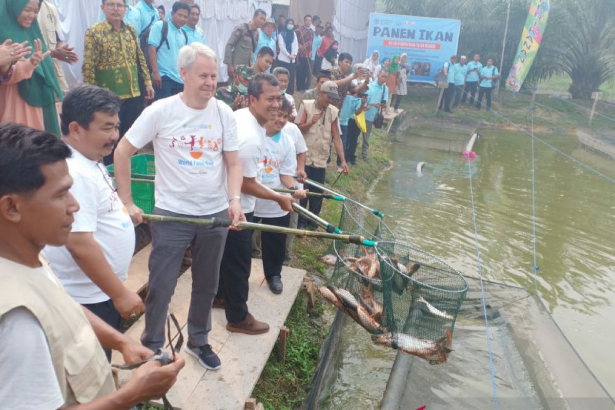 KKP gandeng FAO kerja sama  pengembangan pakan ikan