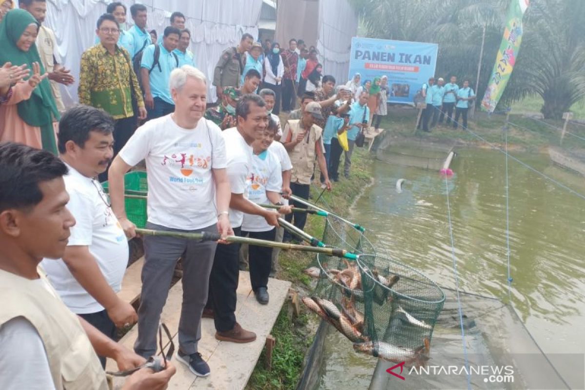 KKP gandeng FAO kerja sama pengembangan pakan ikan