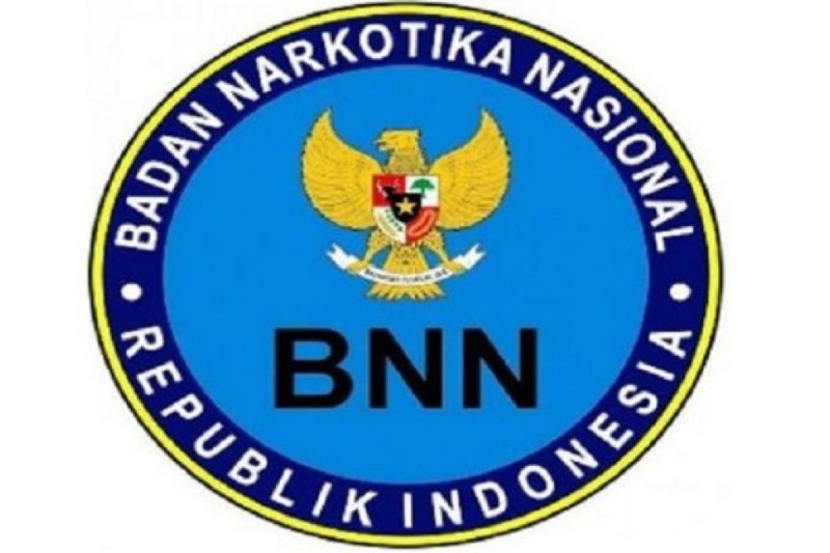 BNN mengungkap 33.371 kasus narkotika sepanjang 2019