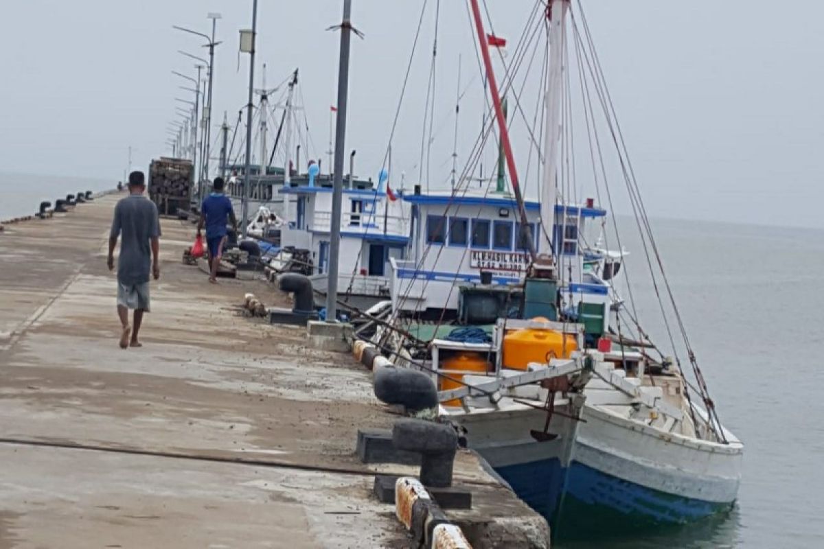 Pelabuhan Teluk Segintung memerlukan RIP untuk berkembang secara optimal