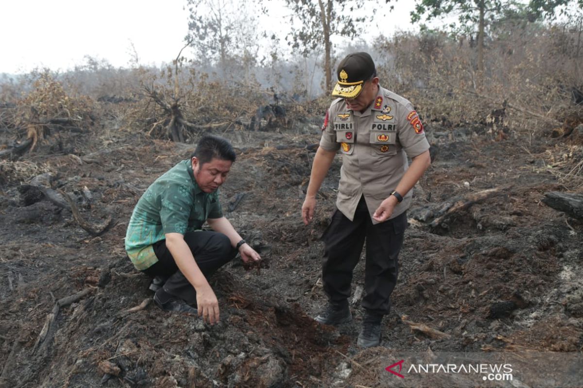 Gubernur Sumsel minta perusahaan  serius atasi Karhutla