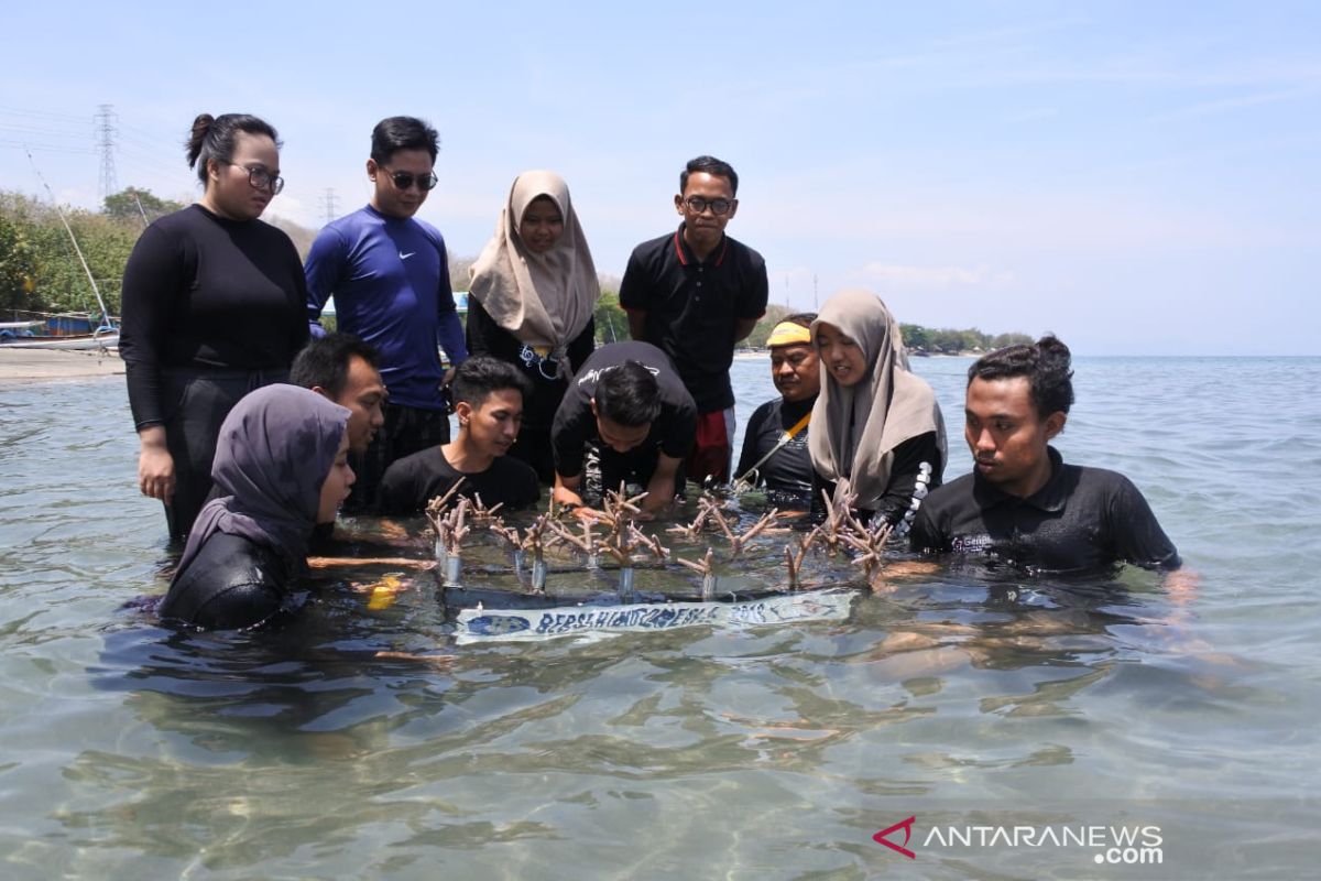 Puluhan mahasiswa tanam terumbu karang di Pasir Putih Situbondo