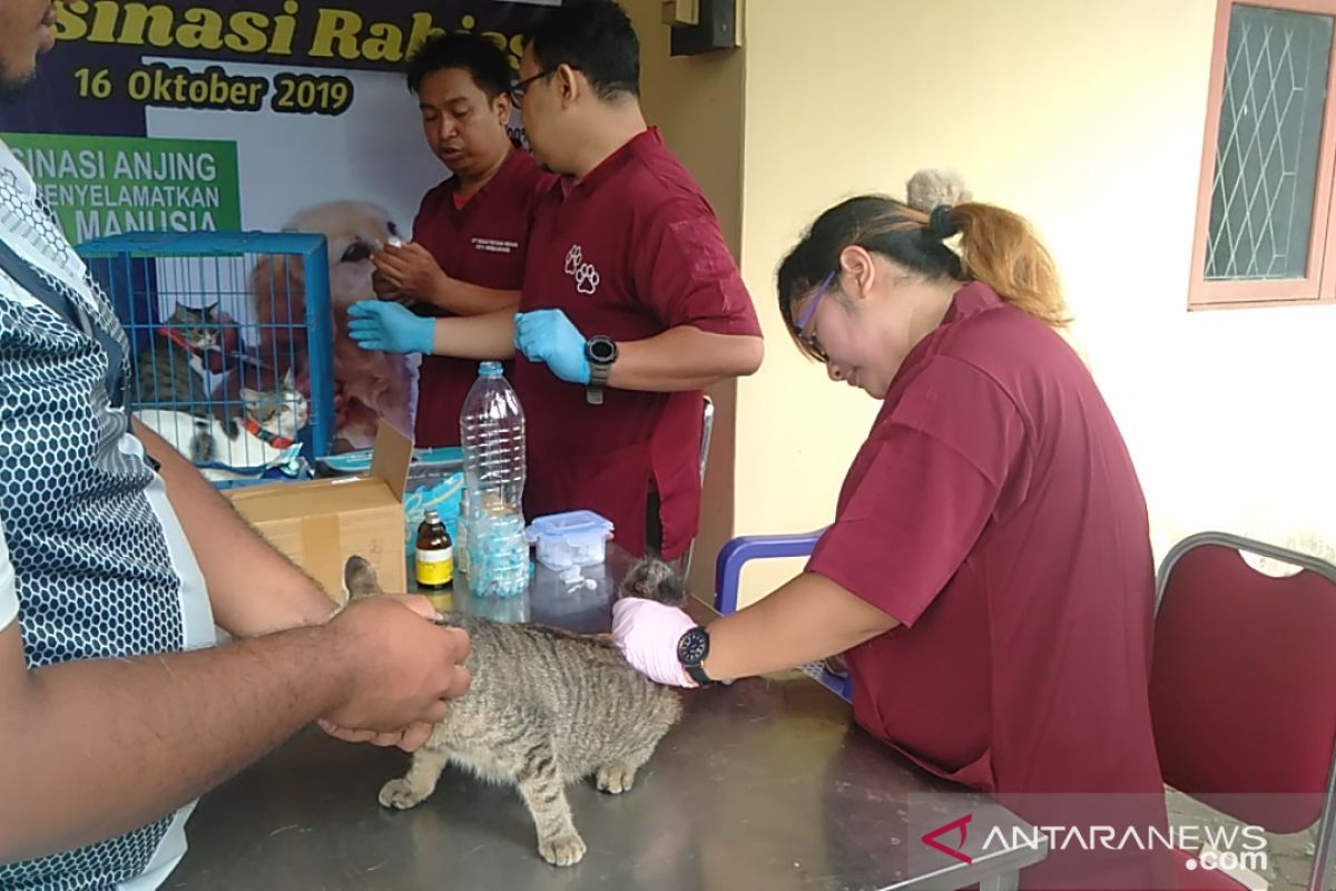 Cegah rabies, Pemkot Singkawang vaksin anjing dan kucing