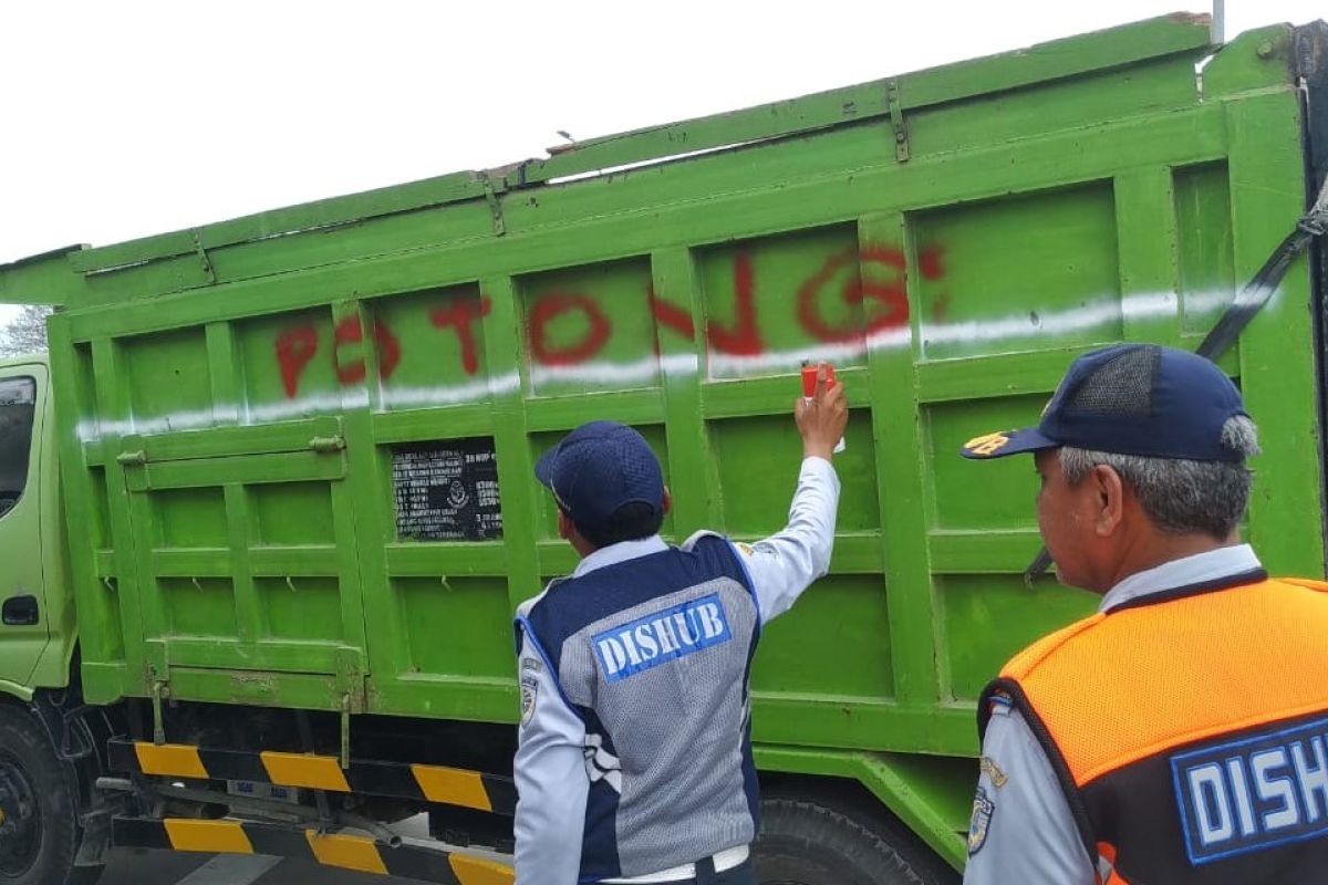 Pengamat nilai perlu revisi UU terkait angkutan barang atasi ODOL