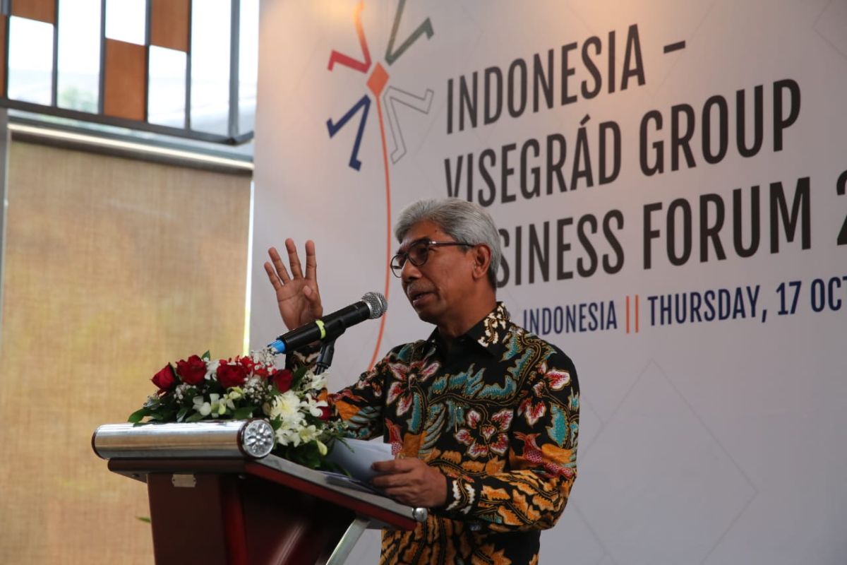 Dengan Visegrad, Indonesia dorong kerja sama naker dan teknologi