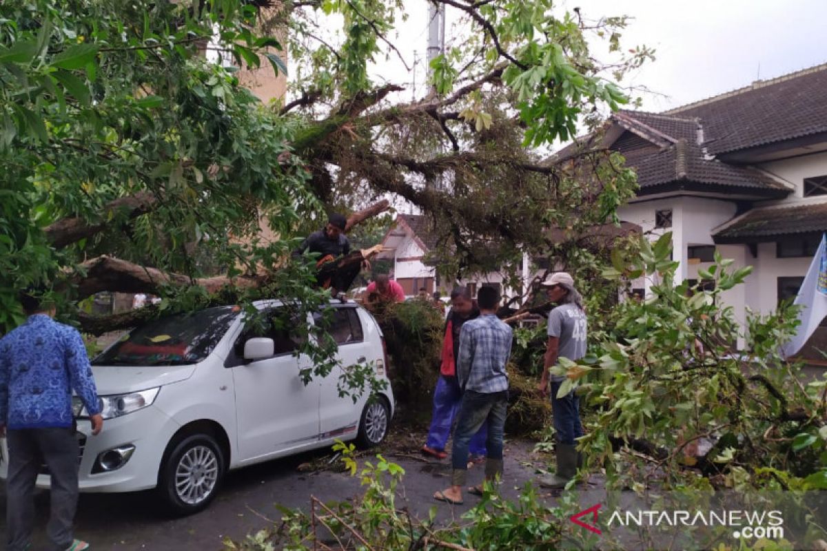 ibu rumah tangga berhasil dievakuasi dari dalam mobil tertimpa pohon