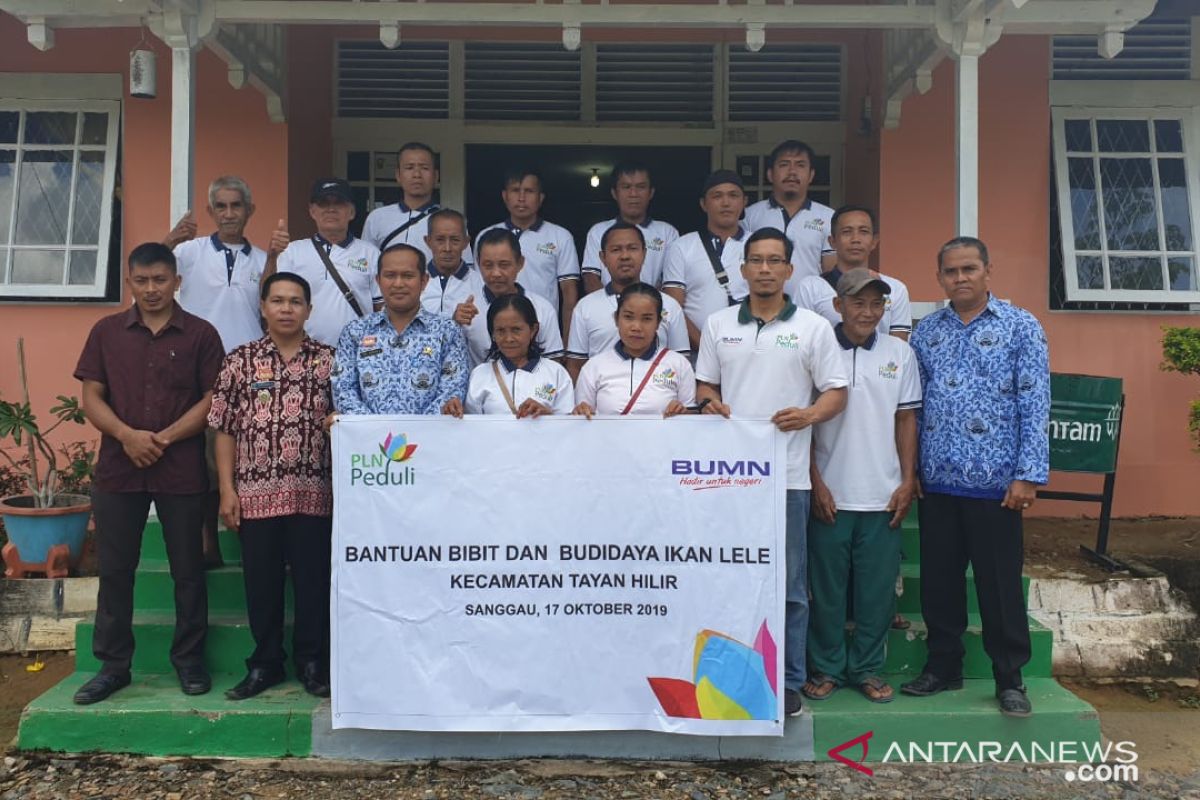 PLN Kalbar bantu 51.000 bibit lele tingkatkan kesejahteraan warga Sanggau