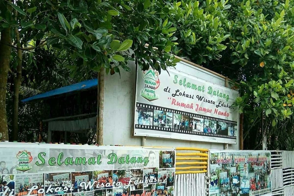 Rumah Jamur Nando, Wisata Edukasi Berbasis Jamur di Pekanbaru