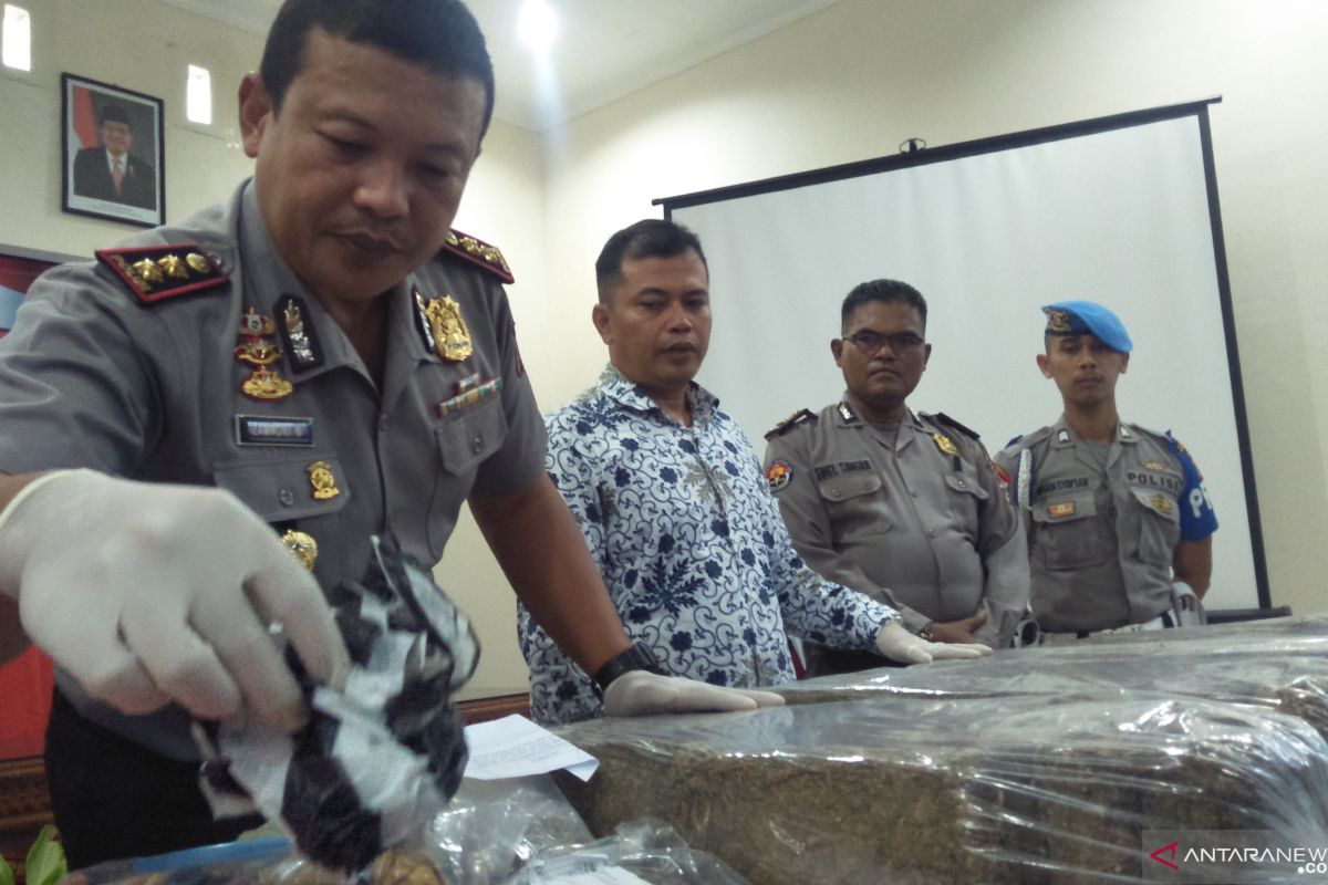 Satu dari tiga tersangka pemilik 66,6 kilogram ganja di Padang Pariaman masih diburu