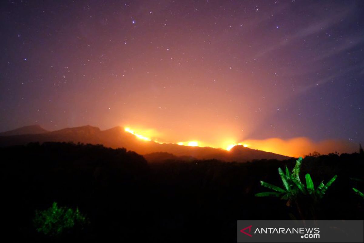 Areal hutan di Pelawangan Senaru Gunung Rinjani terbakar