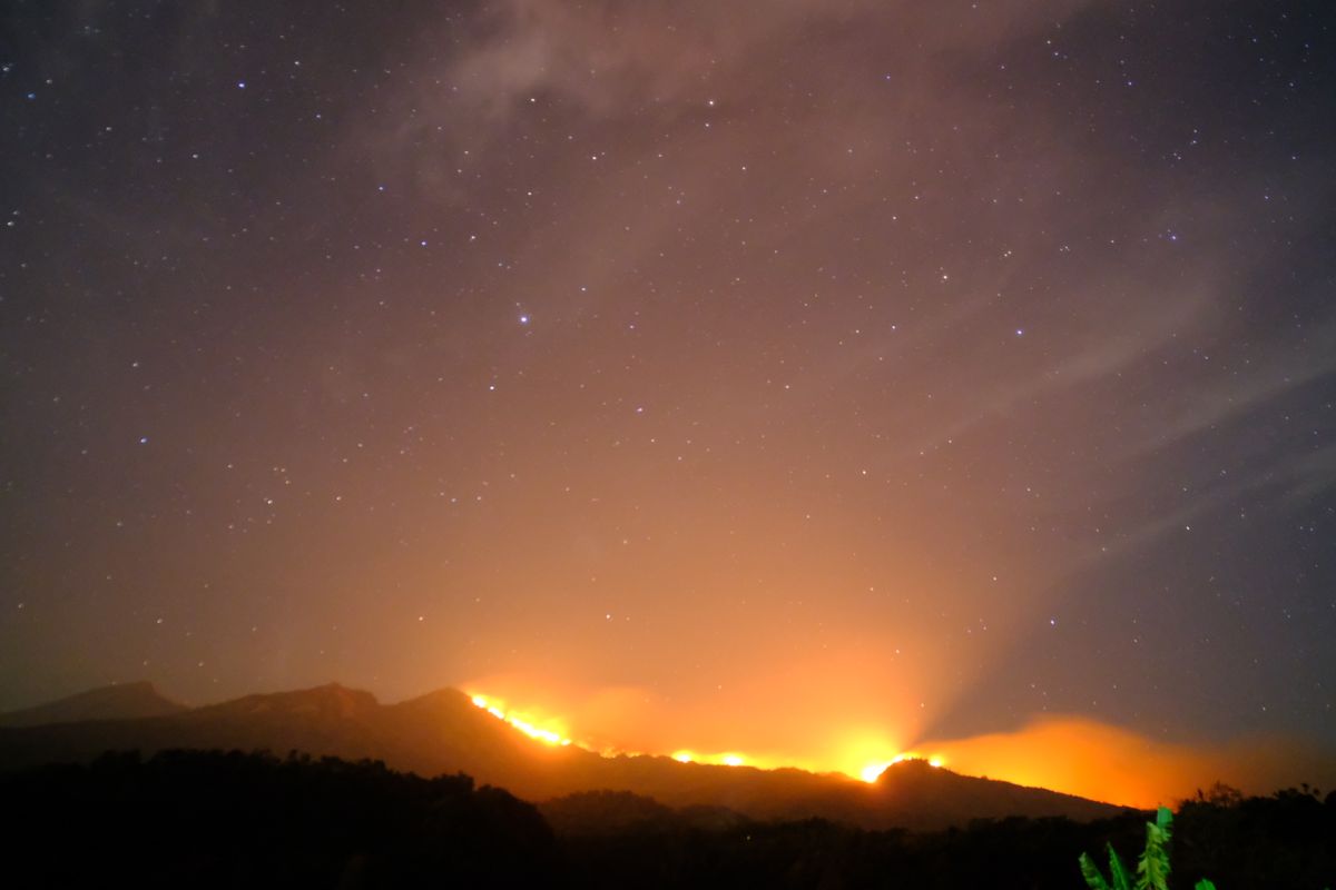 Areal hutan Pelawangan Senaru Gunung Rinjani terbakar