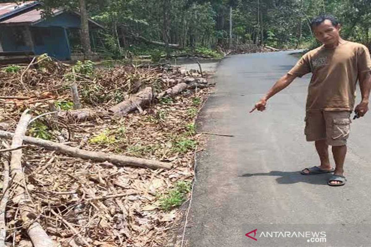 Kabel listrik berseliweran di tanah bahayakan warga desa di Bartim