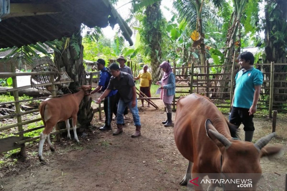 Masjid di Mukomuko bagikan 600 kupon daging kurban