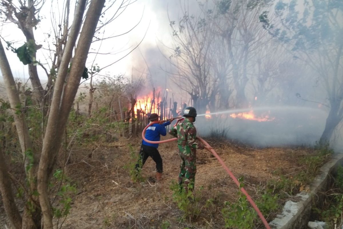 300 hektare lahan terbakar di Gunung Tambora