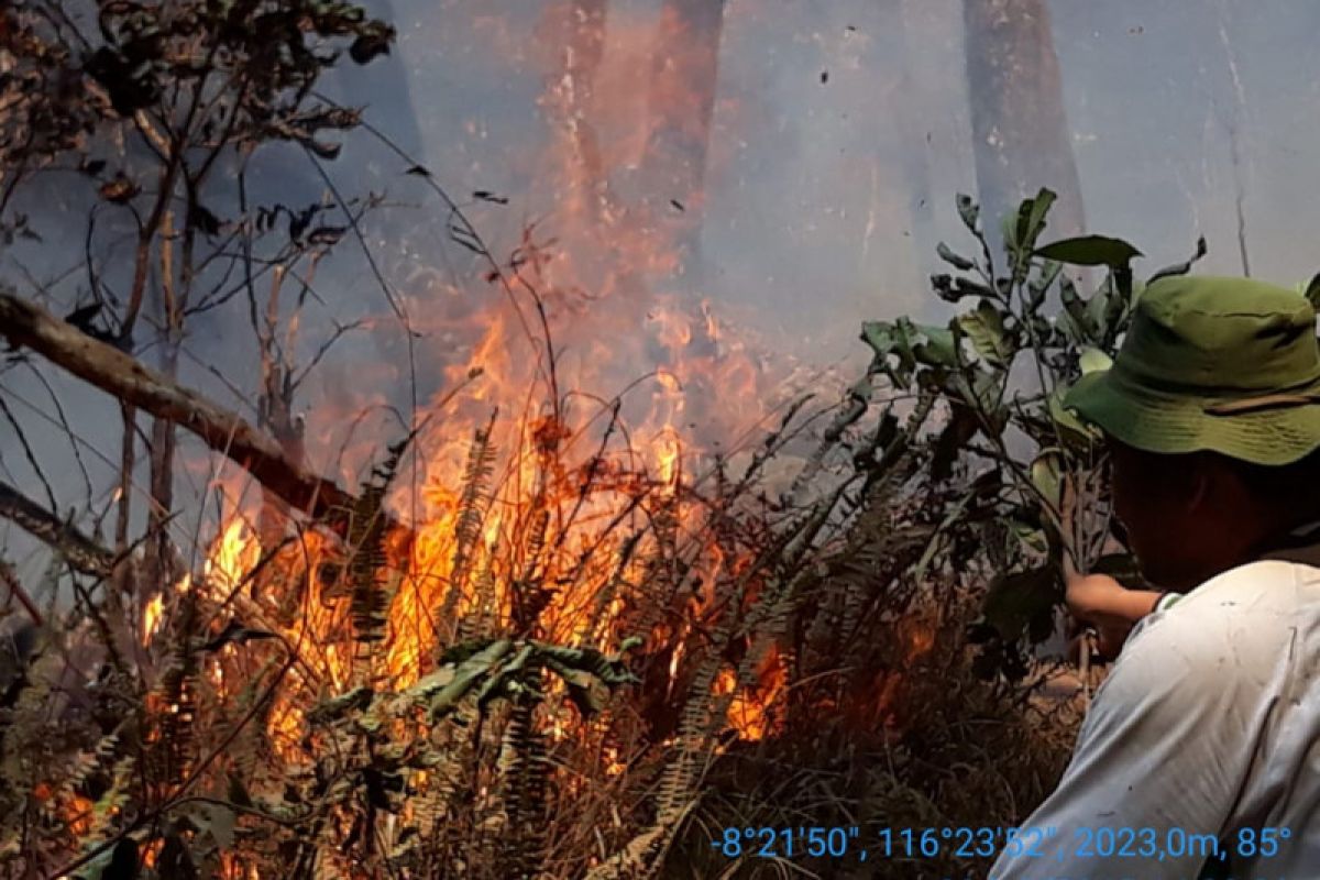 Kebakaran hutan Gunung Rinjani Lombok meluas